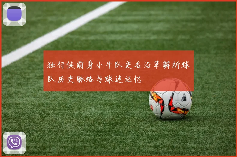 独行侠前身小牛队更名沿革解析球队历史脉络与球迷记忆