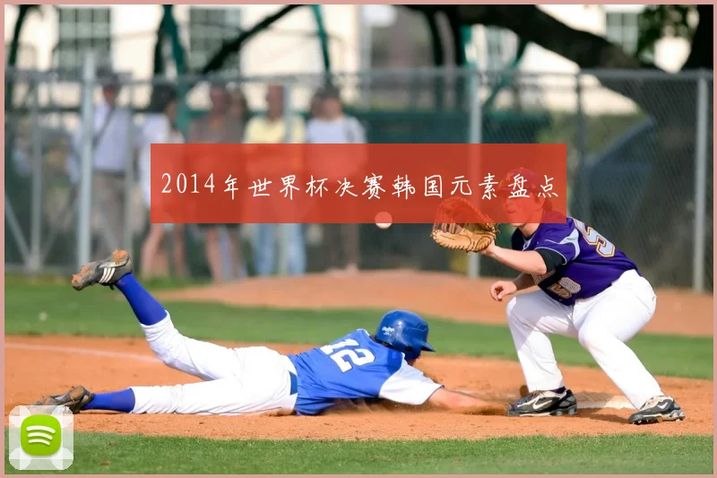 2014年世界杯决赛韩国元素盘点