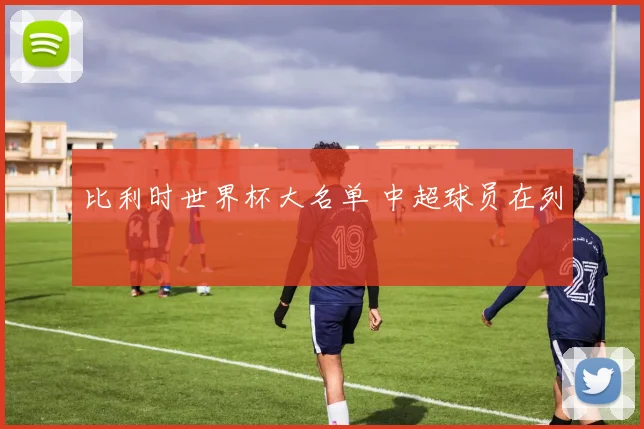 比利时世界杯大名单 中超球员在列