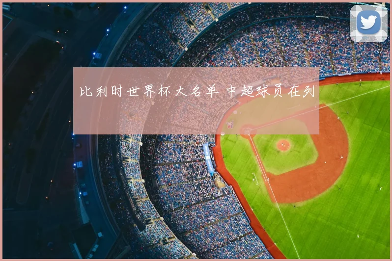 比利时世界杯大名单 中超球员在列